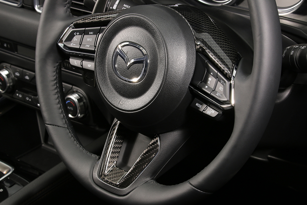 DRY CARBON PANEL MAZDA